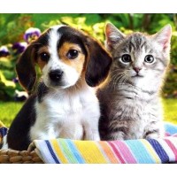 Dog & Cat Diamond Pai...