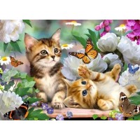 Cats & Butterflies