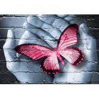 Butterfly Artistic Painti...
