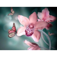 Orchids & Butterflies...