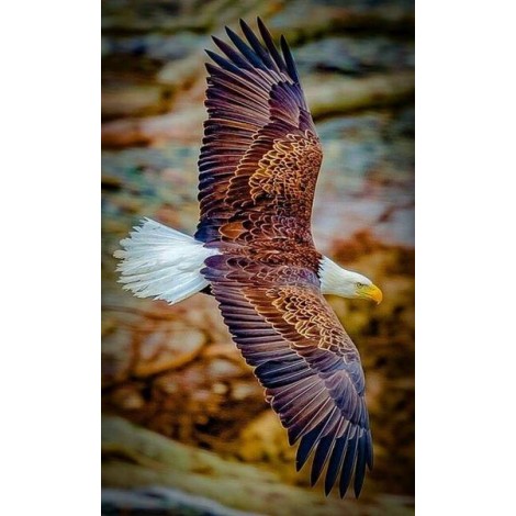 Flying Eagle-Diamond Painting