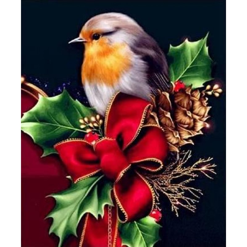 Chrismas Bird- Paint...