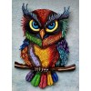 Beautiful & Colorful Owl