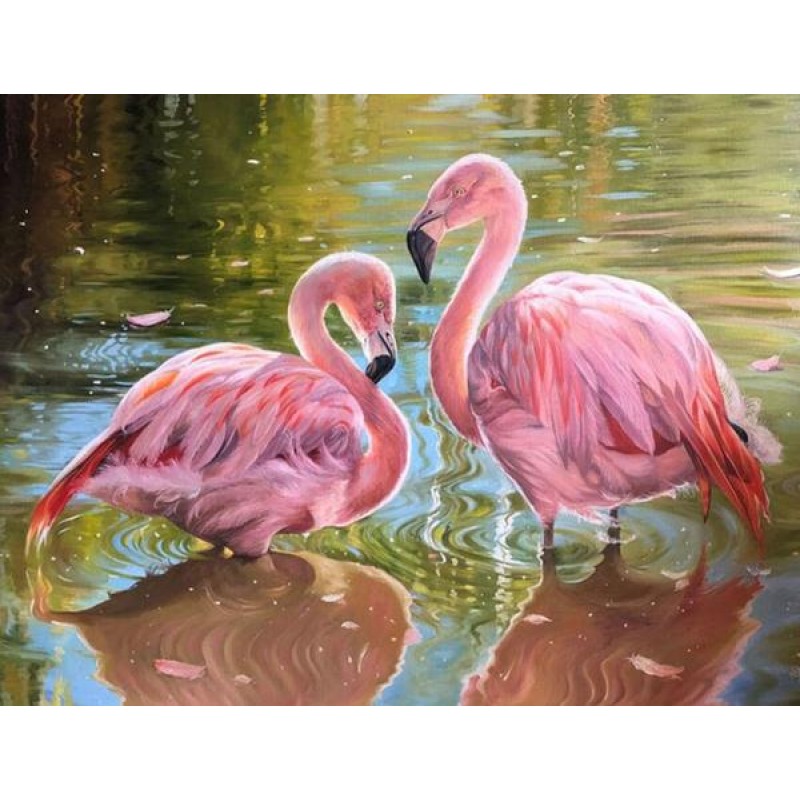 Lovely Flamingos