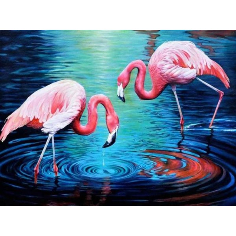 Flamingos in water- ...