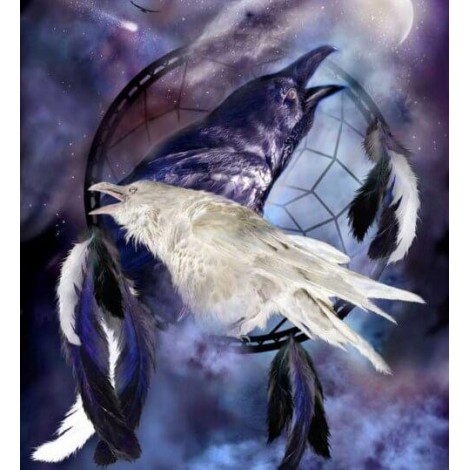 Black & White Ravens