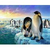 Penguins Family in Iceland