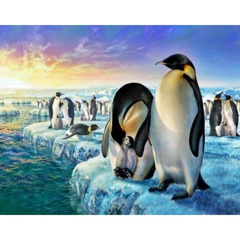 Penguins Family in Iceland