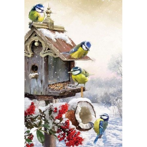 Winter birds & Their Little House
