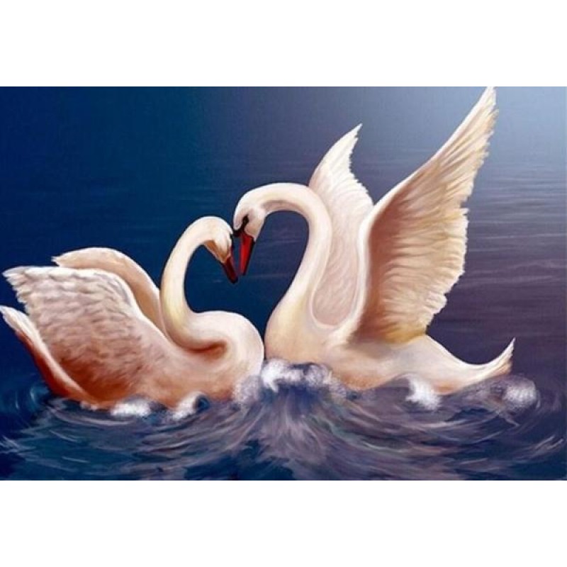 Swans Couple - Paint...