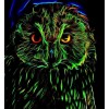 Screech Owl - Paint by Diamonds
