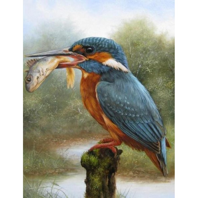 Kingfisher Eating Fi...