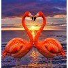Flamingos Making Heart Shape