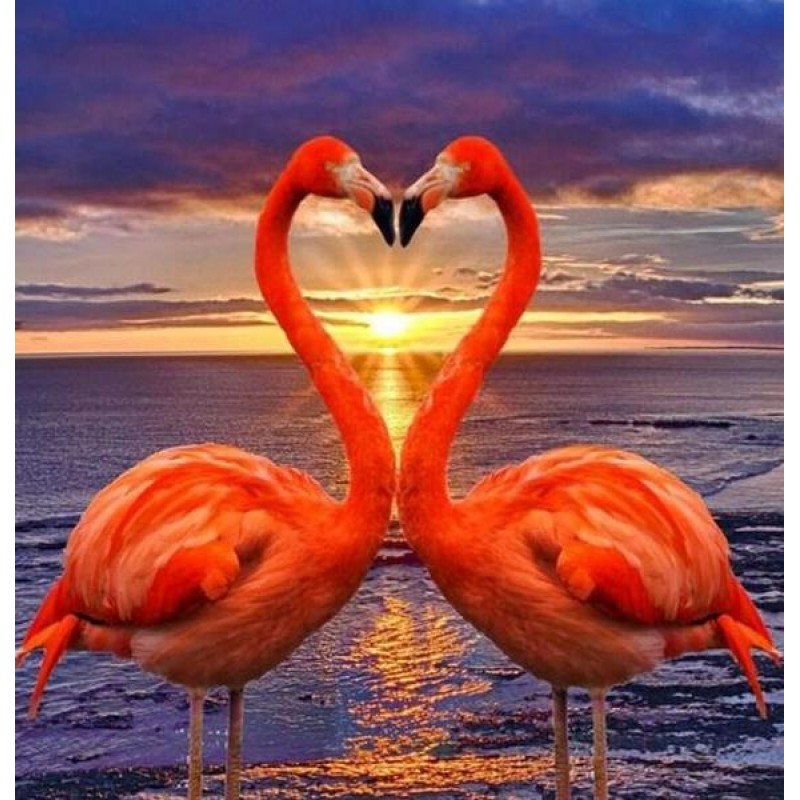 Flamingos Making Hea...