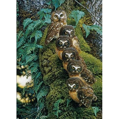 Family of Owls on the Tree