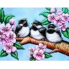 Birds Babies & Flowers