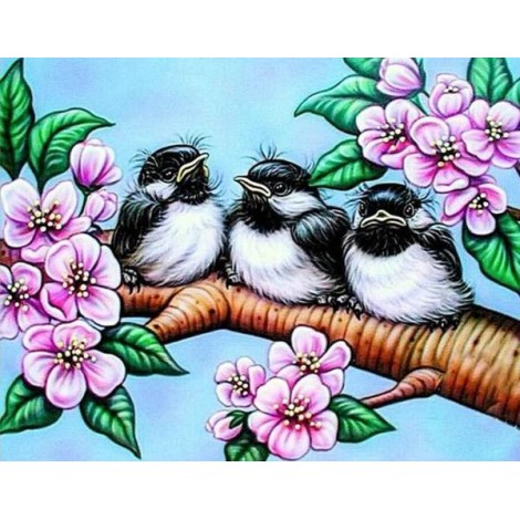 Birds Babies & Flowers
