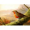 Beautiful Sparrow - Diamond Painting Kit