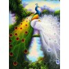 Attractive Peacocks - Diamond Painting Kit