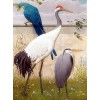 Sand Hill crane & Parrot Diamond Painting