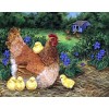 Mother Hen with Little Chicks