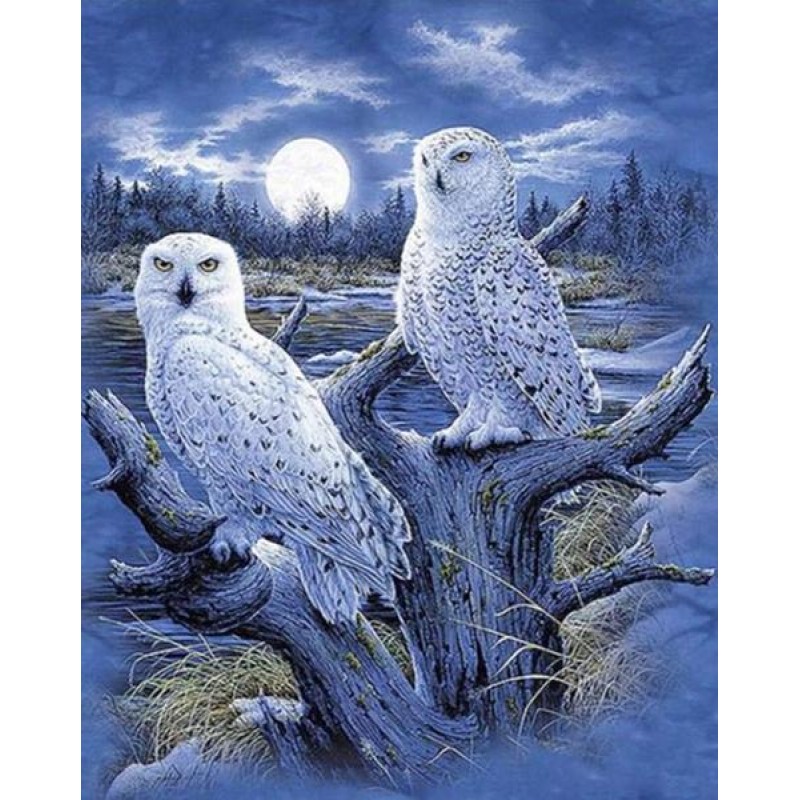 Snow Owls Pair Diamo...