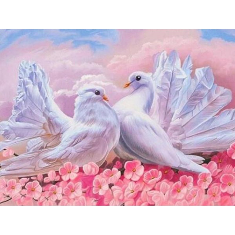 Love Pigeons - Paint...