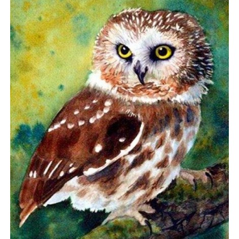 Northern Saw-Whet Owl Diamond Painting