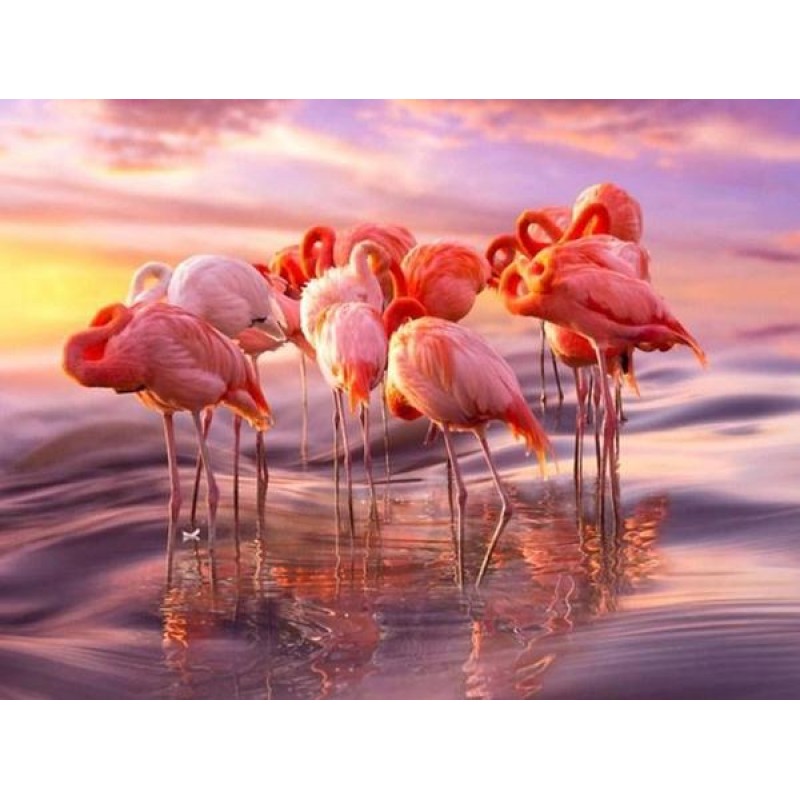 Flamingos Group - Pa...