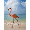 Flamingo on the Beach Diamond Painting