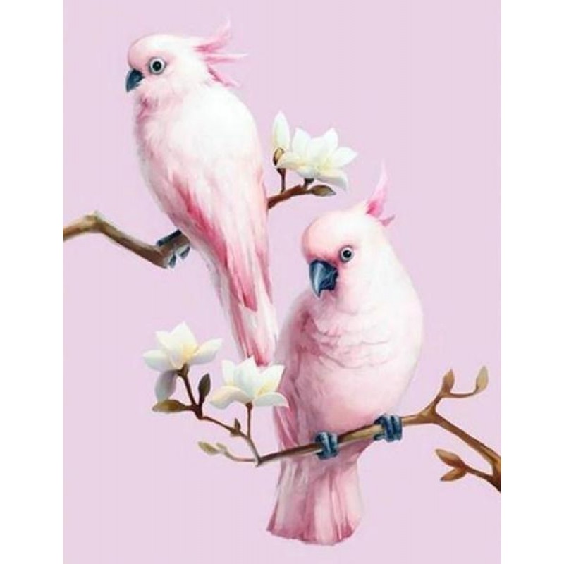 Pink Cockatoos Pair ...
