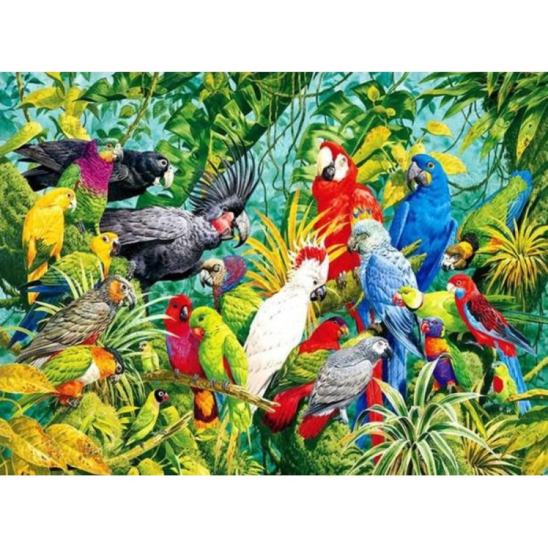 Parrots Kingdom - Di...