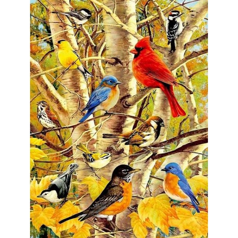 Birds on Autumn Tree...