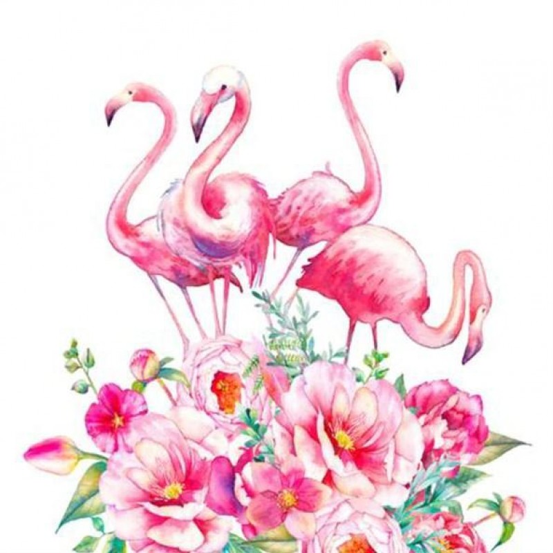 Pink Flamingos &...