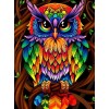 Colorful Owl - Paint by Diamonds