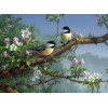 Sparrows on Tree - Diamond Painting Kit