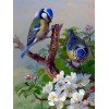 Blue Sparrows & White Flowers