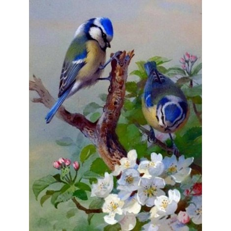 Blue Sparrows & White Flowers