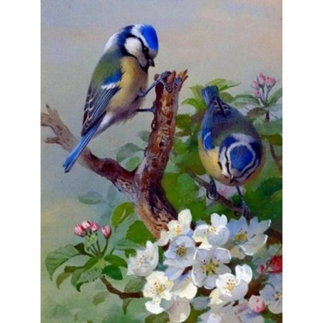 Blue Sparrows & White Flowers