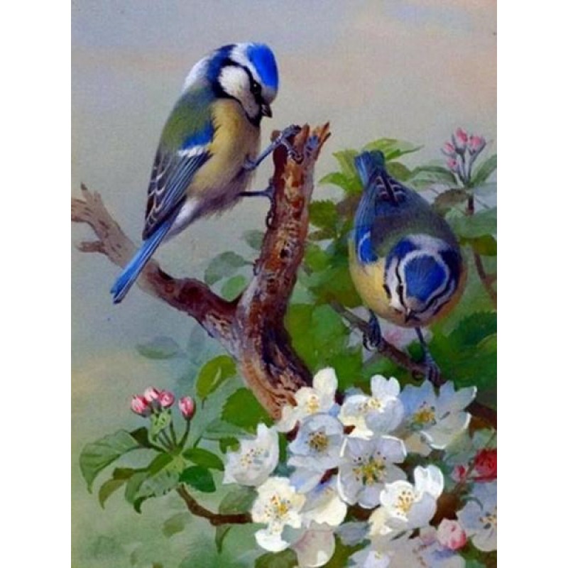 Blue Sparrows & ...