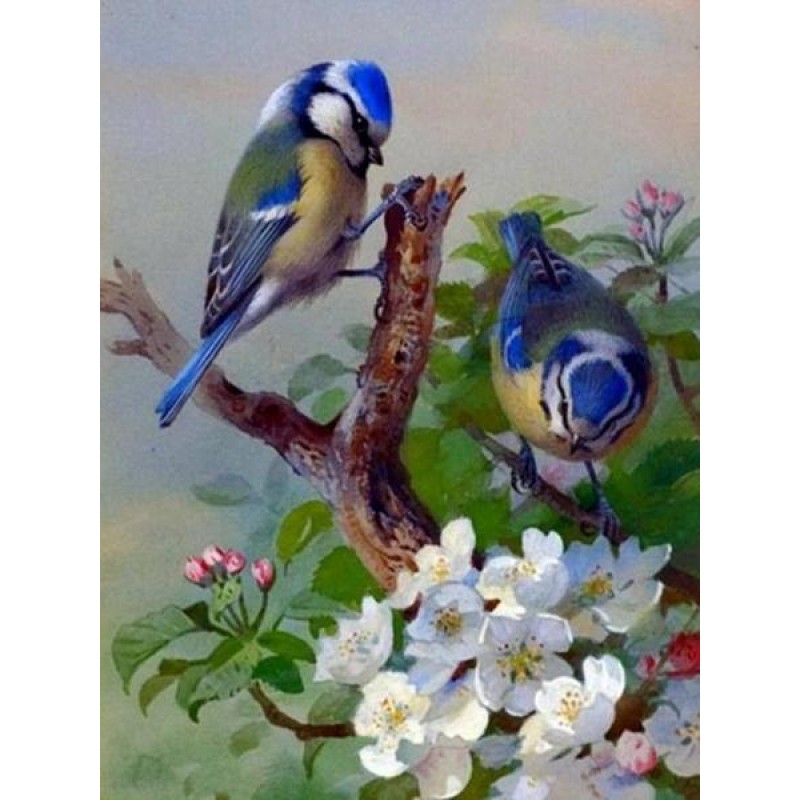 Blue Sparrows & ...