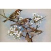 House Sparrows Diamond Painting