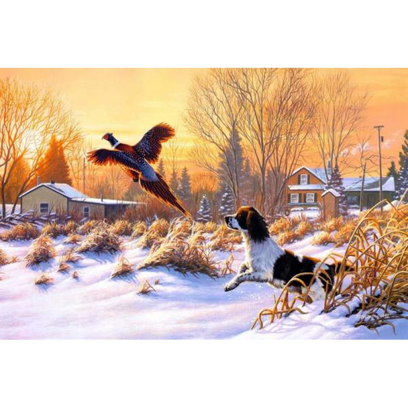 Hunting Dog - Paint ...