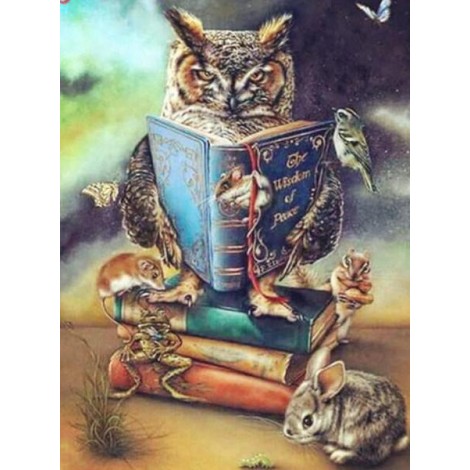 Owl Reading Book Diamond Painting kit