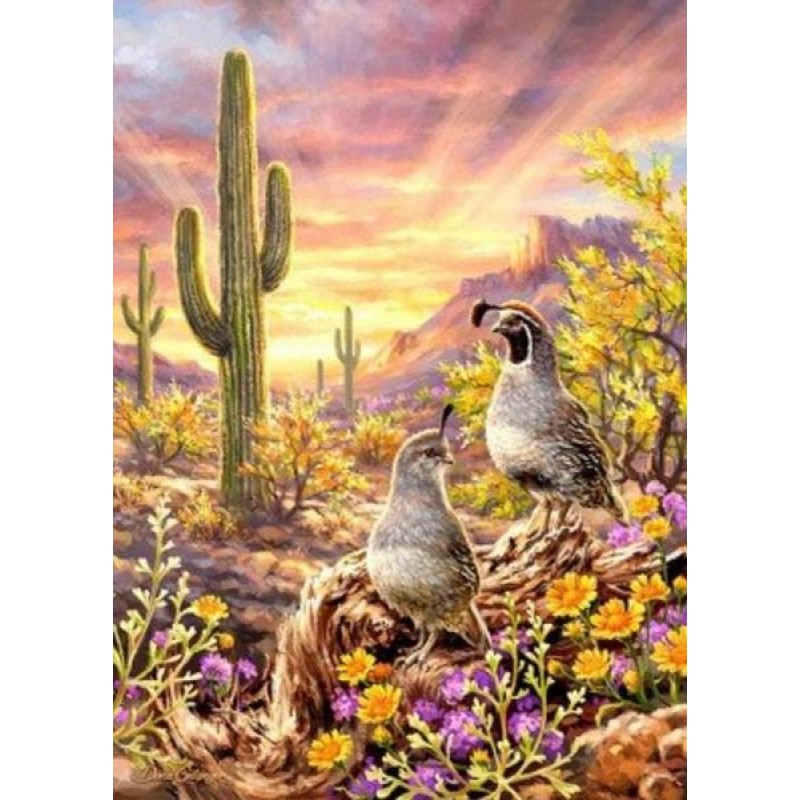 Cactus & Birds D...