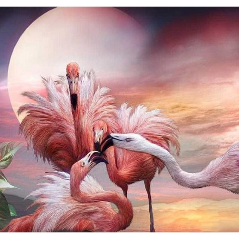 Flamingos Kiss- Pain...