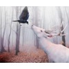 Amazing White Deer & Crow