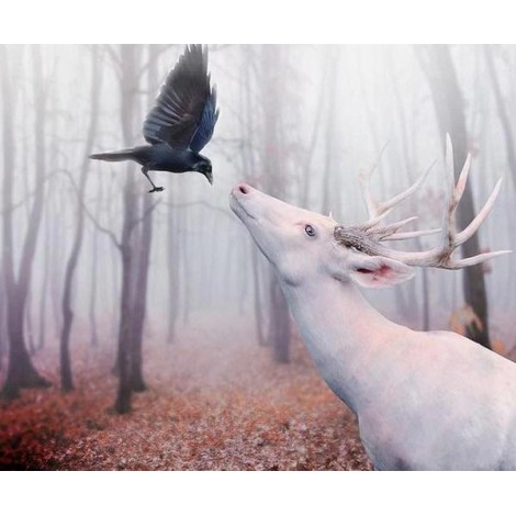 Amazing White Deer & Crow