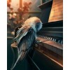 Owl Playing Piano