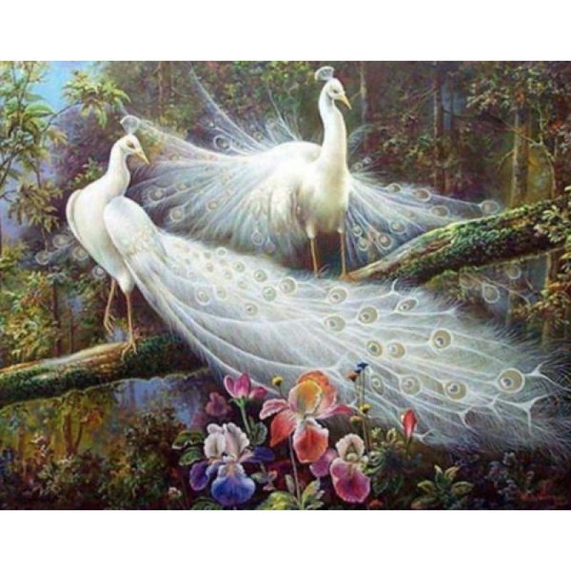 Pair of White Peacoc...